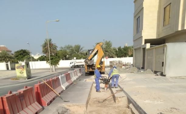 «أزاريا وأزورا توأم ملتصق».. قلبان صغيران ينشدان الأمل في أرض الإنسانية بالمملكة