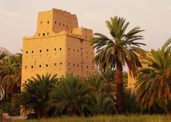 المباني الطينية في المملكة.. تراث معماري يعيد الحياة إلى الذاكرة والهوية