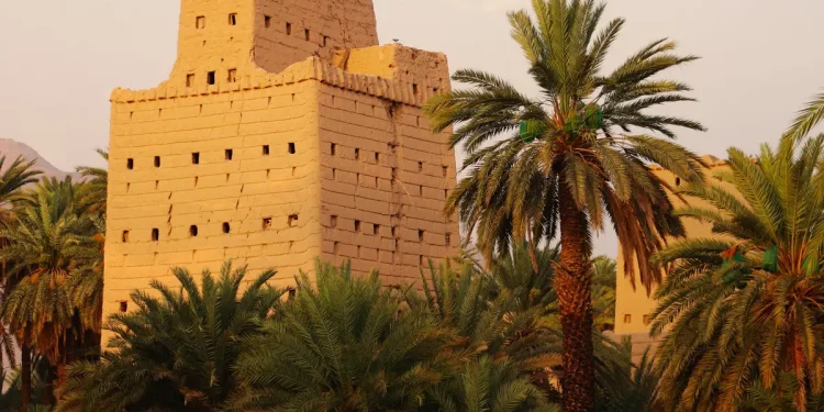 المباني الطينية في المملكة.. تراث معماري يعيد الحياة إلى الذاكرة والهوية
