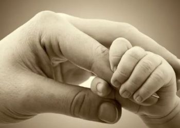 منفعة الأمومة