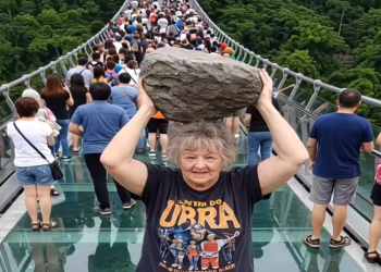 تفاعل واسع مع فيديو انهيار جسر زجاجي.. فما القصة الحقيقية؟