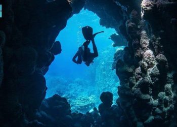 أسرار في عمق البحر.. رحلة إلى كهوف أبو مدافع المخفية