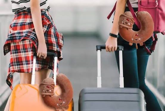 كل رحلة تترك أثرًا.. السفر المتكرر سر الذاكرة القوية 