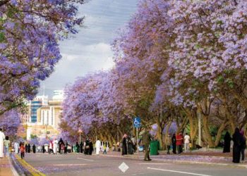 أبها.. سحر الجنوب يتجدد في صيف السعودية 2025