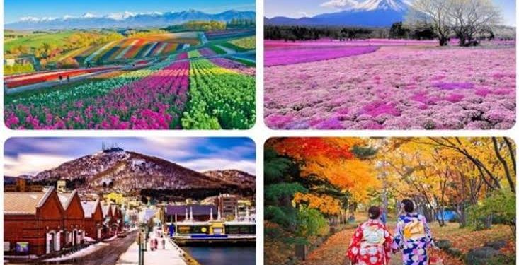 وجهة صيفية لا تُفوت.. هوكايدو ترحب بالمسافرين من الخليج وتعيد رسم السياحة اليابانية