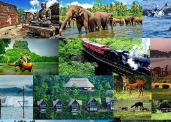 سريلانكا بدون تأشيرة للسعوديين.. ماذا ينتظرك في جزيرة الشاي والطبيعة الخلابة؟