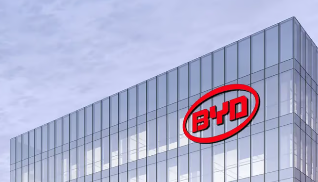 علامة بي واي دي