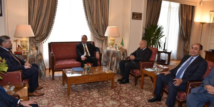 أبو الغيط يستقبل وزير الخارجية المكلف بدولة ليبيا