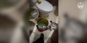 تفاعل السعودية - 38 فردا..  الداخلية تطيح بشبكات إجرامية تتاجر في المخدرات وتقبض على عناصرها.. فيديو