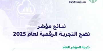 نضج التجربة الرقمية