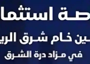 مزاد درة الشرق الهجين لبيع أراضٍ سكنية وتجارية مميزة شرق الرياض