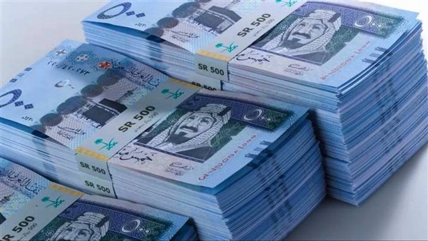 تطور لافت في قطاع الصناديق الاستثمارية وأدوات الدين في السعودية خلال عام 2024