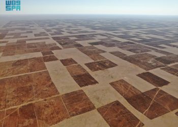 انتهاء فترة الانتفاع بالأراضي البعلية الموسمية وبدء إخلائها استعدادًا للموسم الزراعي الجديد