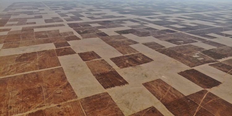 انتهاء فترة الانتفاع بالأراضي البعلية الموسمية وبدء إخلائها استعدادًا للموسم الزراعي الجديد