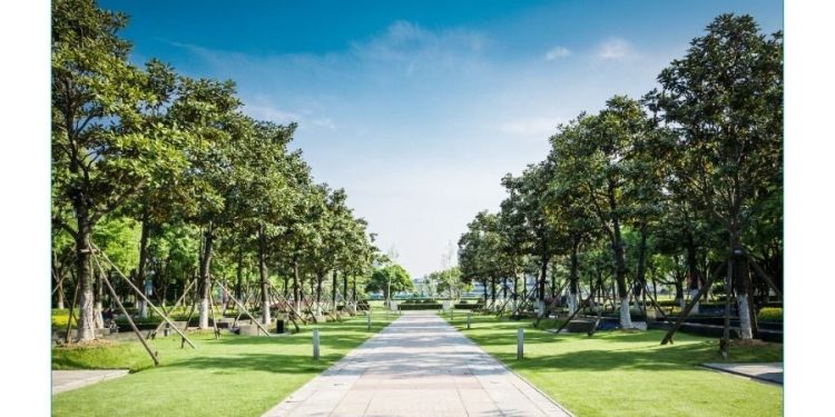 منتزه أجيال أرامكو في الظهران.. وجهة استثمارية تعزز جودة الحياة والاستدامة البيئية