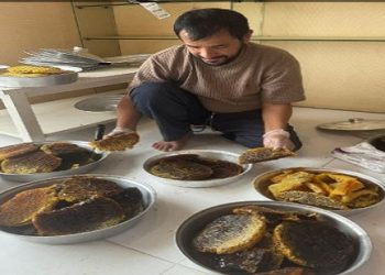 عسير تتصدر إنتاج العسل السعودي.. مشروع جديد لتعزيز الإنتاج المحلي ودعم الأمن الغذائي”