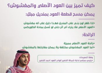 بالانفوجراف.. كيف تميز بين العود الأصلي والمغشوش؟