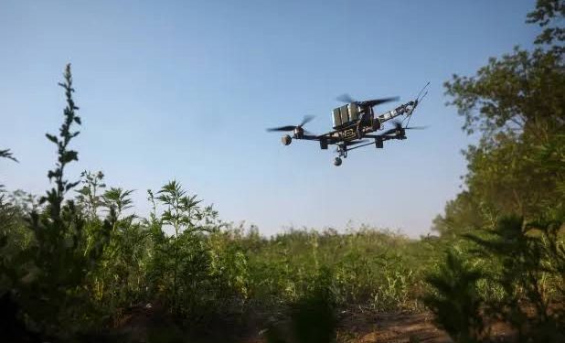 واقعة غريبة.. لصوص يسرقون السياح في تايلاند بالطائرات المسيرة