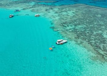 جزيرة بياضة.. مالديف جدة ومقصد الباحثين عن الهدوء والمغامرة
