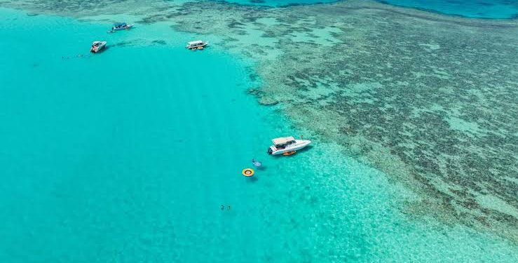 جزيرة بياضة.. مالديف جدة ومقصد الباحثين عن الهدوء والمغامرة