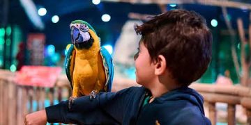 أكثر من 7,500 م² من المغامرة.. غابة العجائب تنقل موسم جدة لعالم جديد