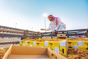 تفاعل السعودية - كرنفال بريدة للتمور.. 21 يومًا من التراث والمرح في قلب القصيم