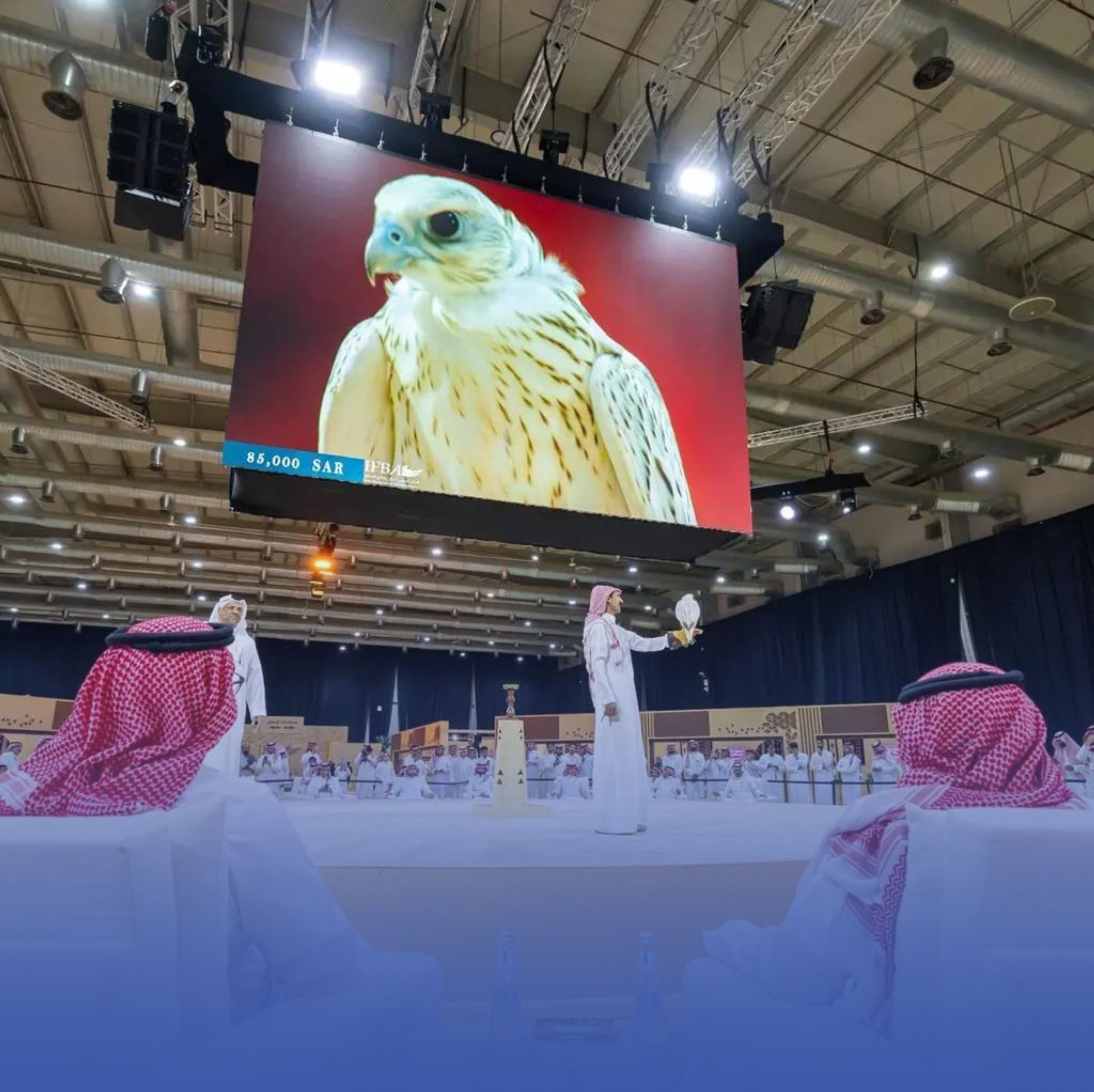 مزاد نادي الصقور السعودي