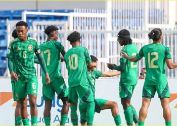 الأخضر الشاب