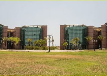 جامعة تبوك تحقق اعتمادًا برامجيًا كاملًا بنسبة 100% لجميع برامج البكالوريوس