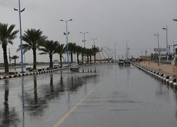 طقس السعودية.. أمطار رعدية ورياح نشطة على عدة مناطق