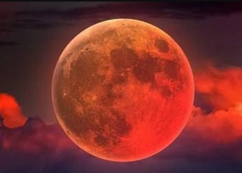 Zacoe تطلق نسخة معدلة شرسة من لامبورجيني Revuelto