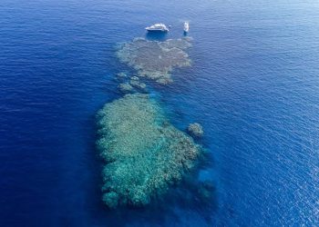 السعودية شريك في أضخم استثمار يرسم مستقبل السياحة بالبحر الأحمر