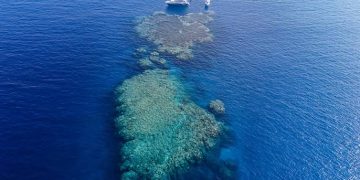 السعودية شريك في أضخم استثمار يرسم مستقبل السياحة بالبحر الأحمر