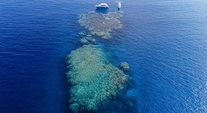 السعودية شريك في أضخم استثمار يرسم مستقبل السياحة بالبحر الأحمر