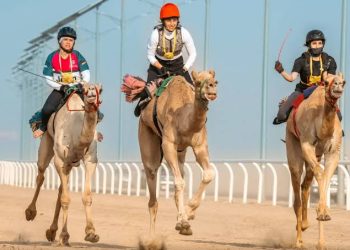 مهرجان ولي العهد للهجن