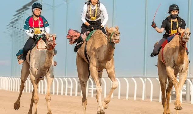 مهرجان ولي العهد للهجن