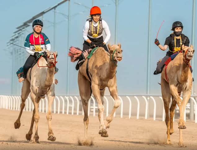 مهرجان ولي العهد للهجن