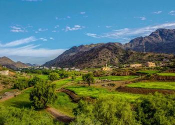 عسير تتألق في 2024 وتبرز كوجهة رائدة للسياحة الثقافية بفضل فعالياتها المتنوعة