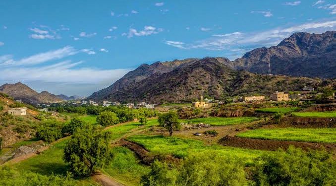 عسير تتألق في 2024 وتبرز كوجهة رائدة للسياحة الثقافية بفضل فعالياتها المتنوعة