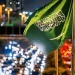 أفضل أماكن للاحتفال باليوم الوطني الـ 95 في الرياض