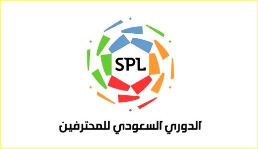 دوري الدرجة الأولى للمحترفين