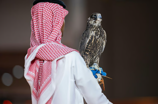 صقرين