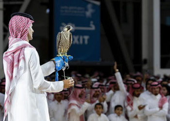 معرض الصقور والصيد