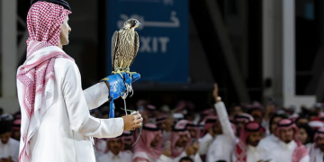 معرض الصقور والصيد