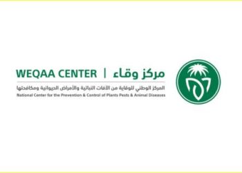 وقاء