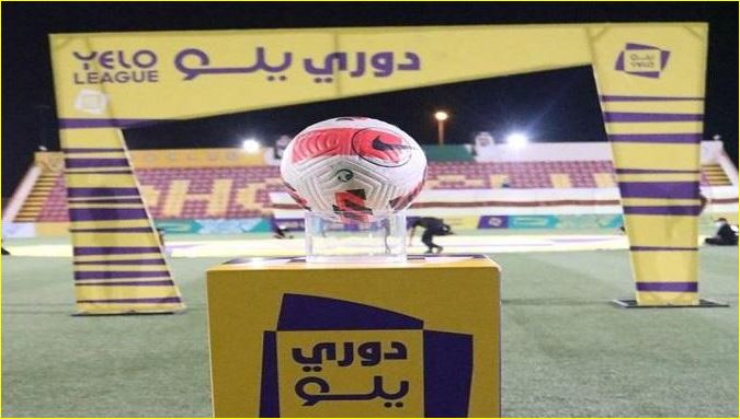 دوري الدرجة الأولى للمحترفين