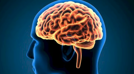 الدماغ والاكتئاب