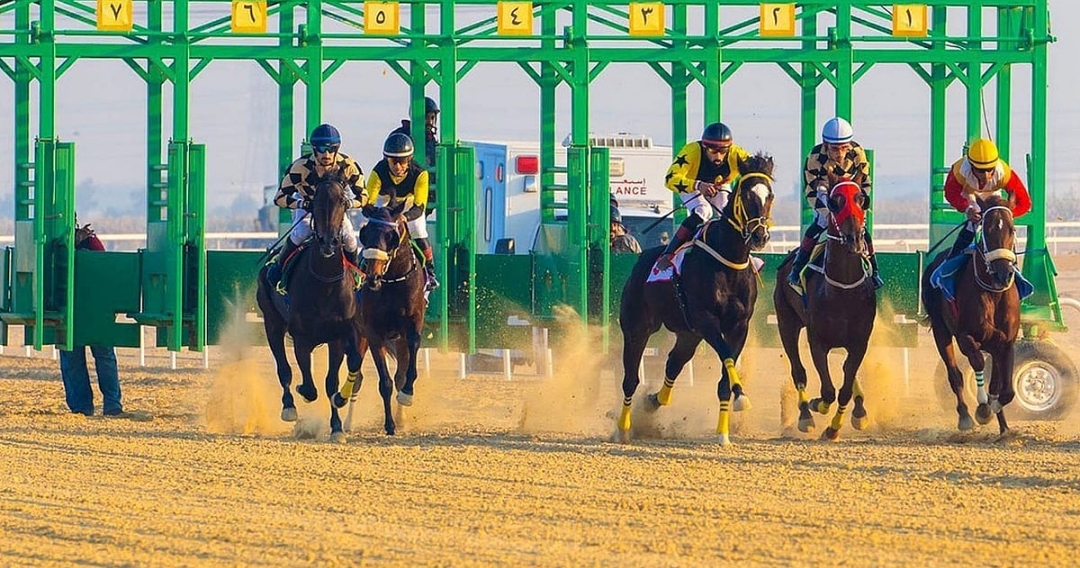 سباق الخيل