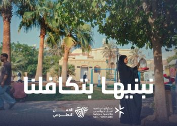 القطاع غير الربحي