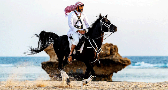الفروسية